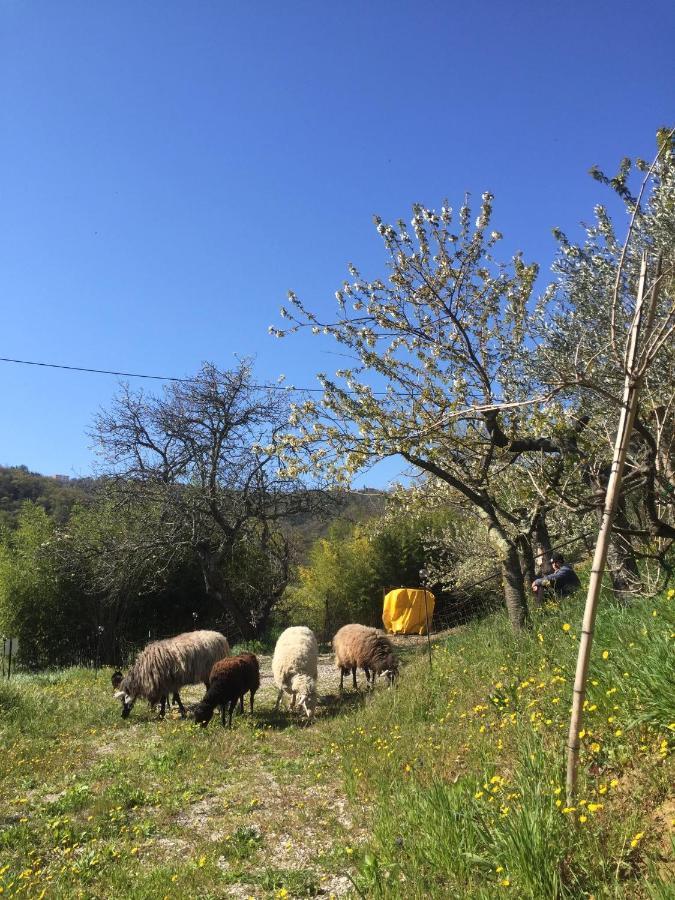 Salara Farmhouse Koper Exteriör bild