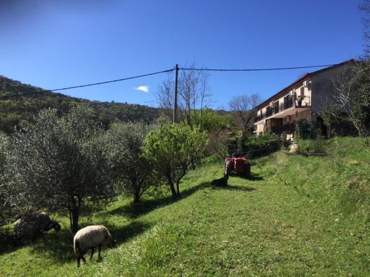 Salara Farmhouse Koper Exteriör bild